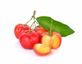 Acerola