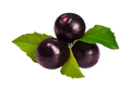 Acai