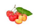 Acerola
