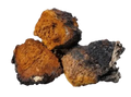 Chaga