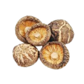 Shiitake